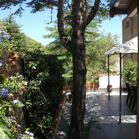 Le Case Di Virgin 1 Castellammare del Golfo Exterior photo